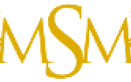 msm_logo.png